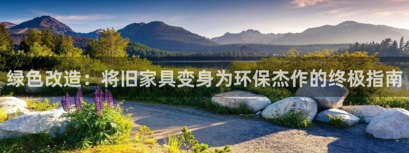 杏耀代理日工资多少