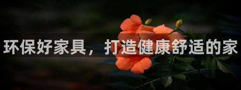 杏耀平台线路测速