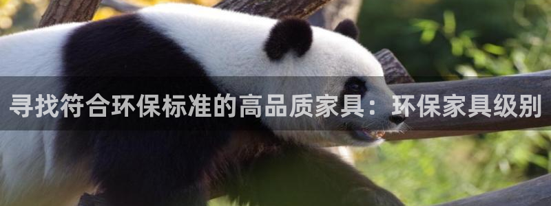杏耀登陆测速