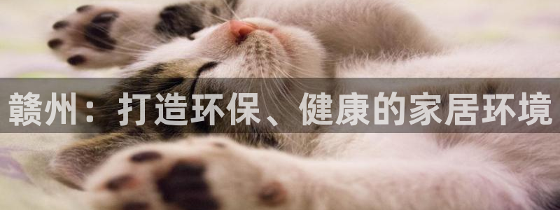 杏耀平台官网下载
