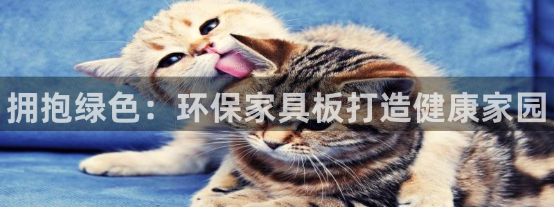 杏耀app怎样申请