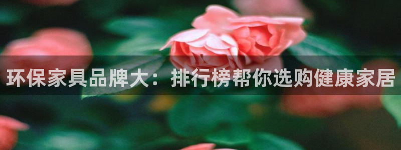 杏耀平台登陆测速