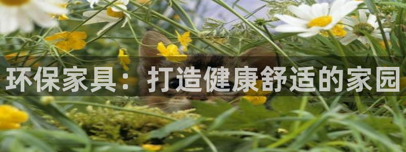 杏耀登陆