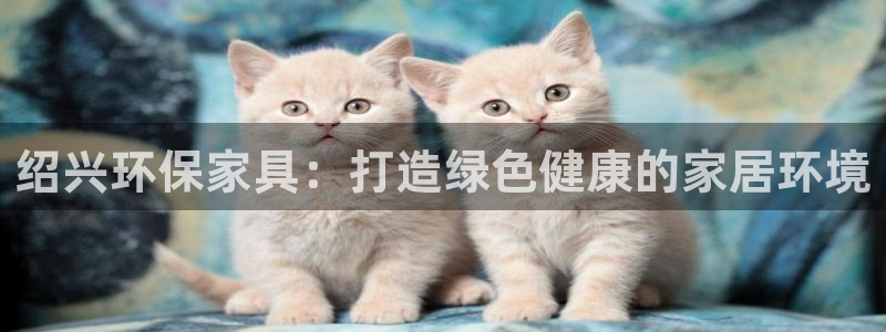 杏耀代理主管qq