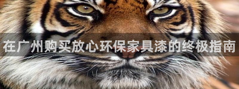 杏耀app怎样申请退款