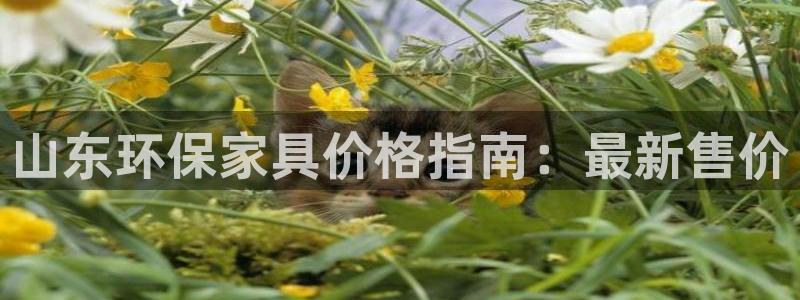 杏耀登陆电脑线路测速