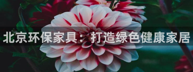 杏耀平台网页版