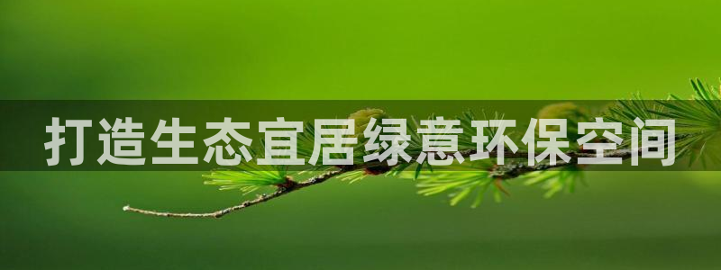 杏耀手机登录线路测速