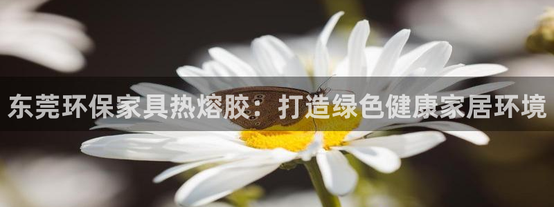 杏耀登陆测速