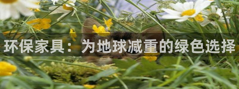 杏耀平台代理怎么赚钱快