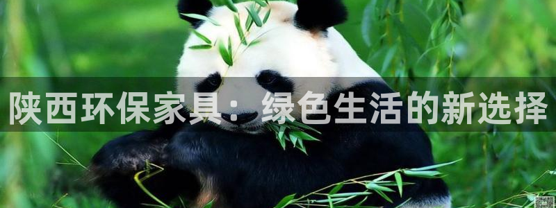 杏耀平台还在吗