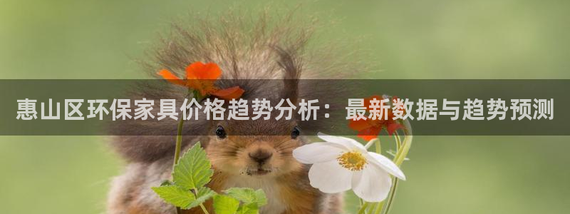 杏耀注册登录代理