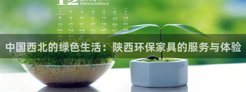 杏耀平台代理注册多少钱一年：中国西北的绿色生活：陕西环保家具