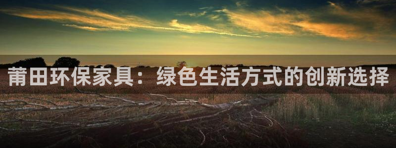 杏耀平台线路：莆田环保家具：绿色生活方式的创新选择