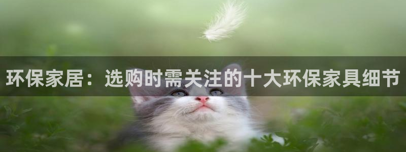 杏耀平台代理登录网址是什么：环保家居：选购时需关注的十大环保
