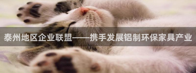 杏耀代理1980：泰州地区企业联盟——携手发展铝制环保家具产