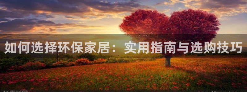 杏耀代理日工资多少：如何选择环保家居：实用指南与选购技巧