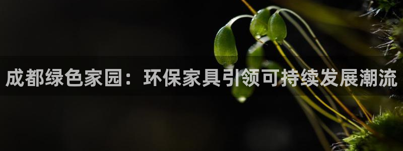杏耀测速登录地址：成都绿色家园：环保家具引领可持续发展潮流