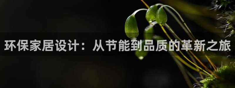 杏耀代理主管qq：环保家居设计：从节能到品质的革新之旅