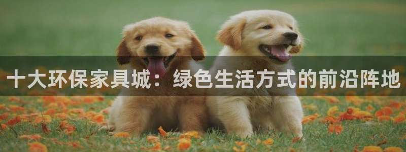 杏耀软件：十大环保家具城：绿色生活方式的前沿阵地