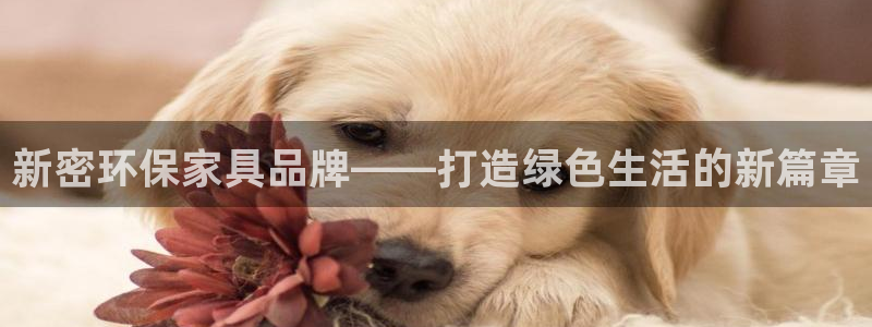 杏耀平台开户：新密环保家具品牌——打造绿色生活的新篇章