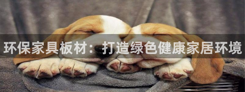 杏耀线路测速登录中心