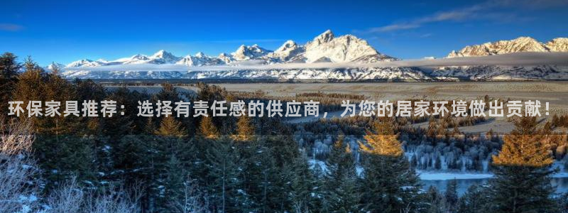 杏耀手机登录线路测速