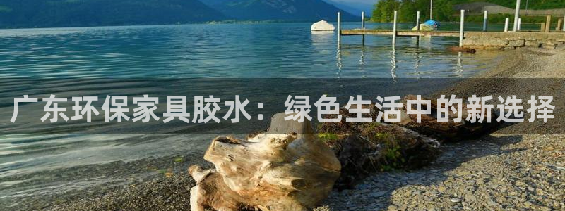 杏耀app怎样申请：广东环保家具胶水：绿色生活中的新选择