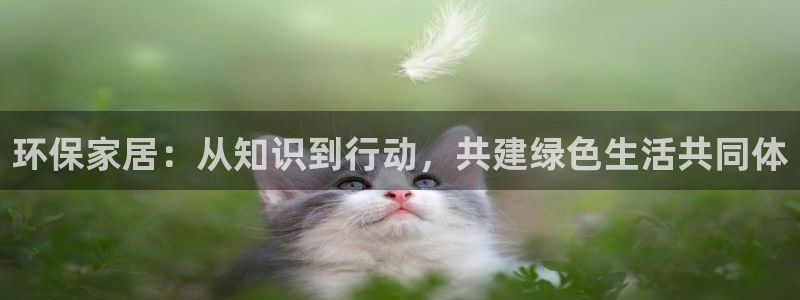 杏耀平台官网登录：环保家居：从知识到行动，共建绿色生活共同体