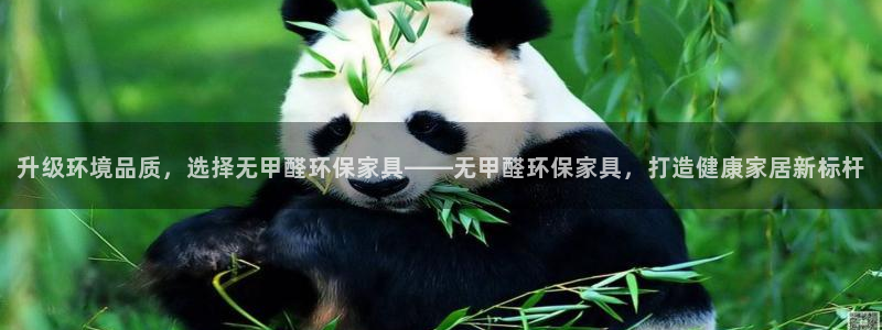 杏耀平台的专用通道