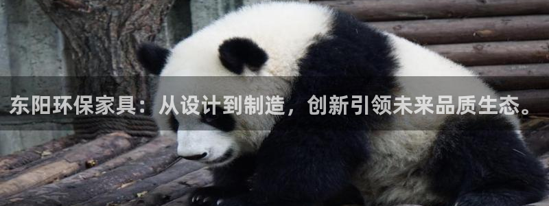 杏耀平台注册登录：东阳环保家具：从设计到制造，创新引领未来品