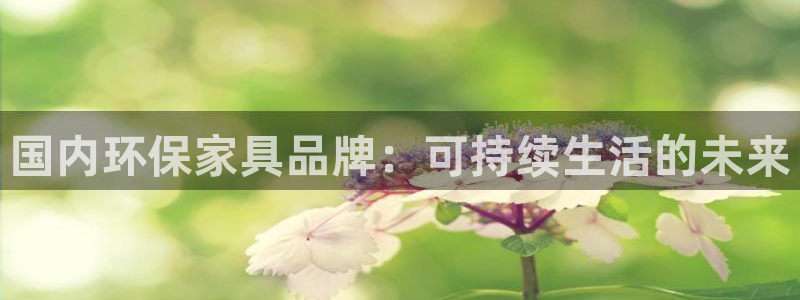 杏耀官网主管：国内环保家具品牌：可持续生活的未来