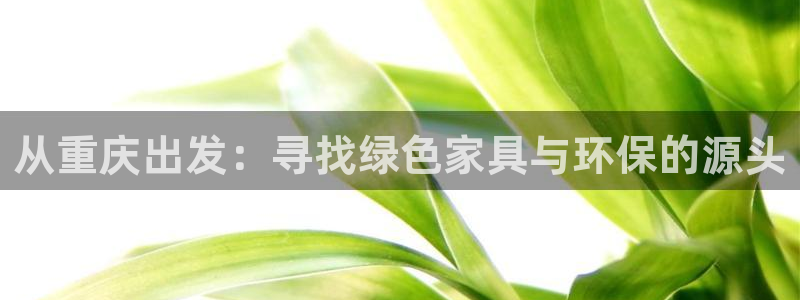 杏耀代理主管qq