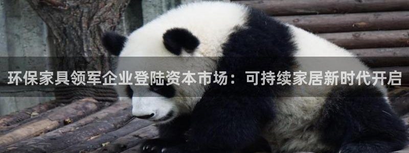 杏耀登陆线路