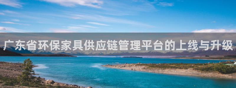 杏耀官网网站：广东省环保家具供应链管理平台的上线与升级