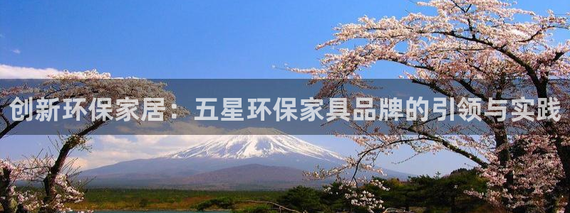 杏耀官方网：创新环保家居：五星环保家具品牌的引领与实践