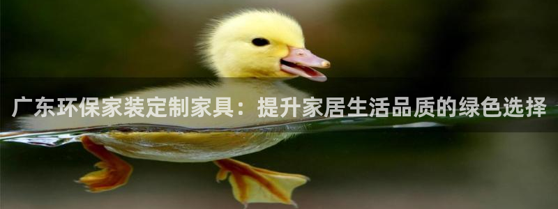 杏耀官网客服：广东环保家装定制家具：提升家居生活品质的绿色选